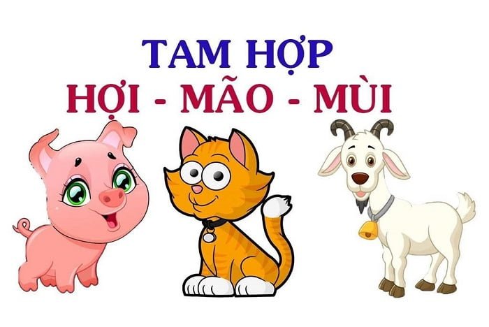 một hình tam giác là gì? Bộ tứ là gì? Hiểu một cách chính xác nhất