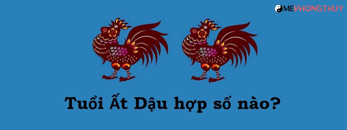 Tuổi Ất Dậu hợp số nào