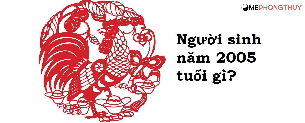 Người sinh năm 2005 tuổi gì?