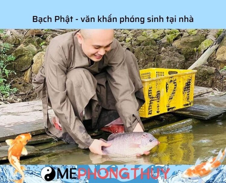 Bạch Phật - Văn khấn phóng sanh tại nhà