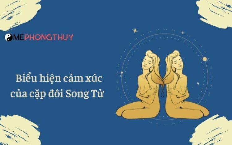 Biểu hiện cảm xúc của cặp đôi Song Tử