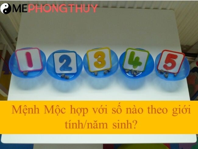 Mệnh Mộc hợp với số nào theo giới tính/năm sinh