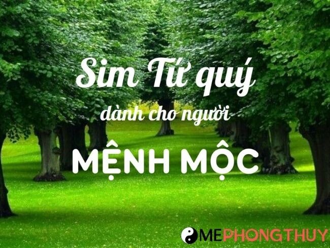 Chọn SIM dựa theo Cửu tinh đồ pháp