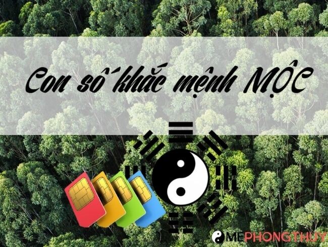 Mệnh Mộc khắc với số nào