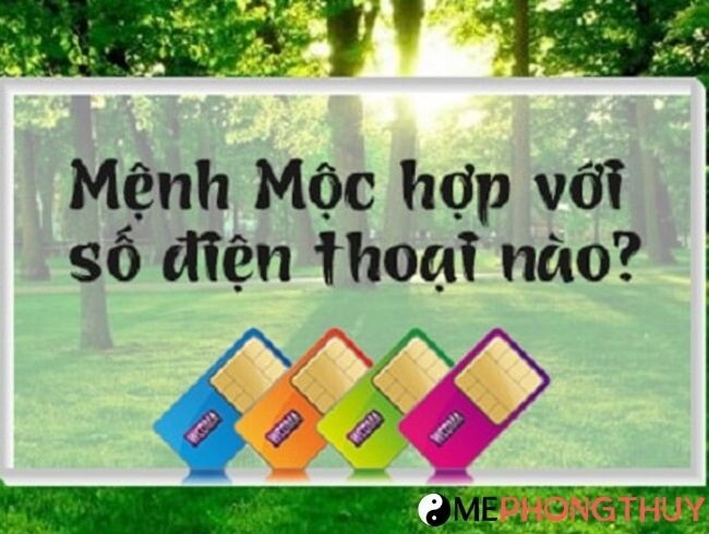 Mệnh Mộc hợp số điện thoại nào