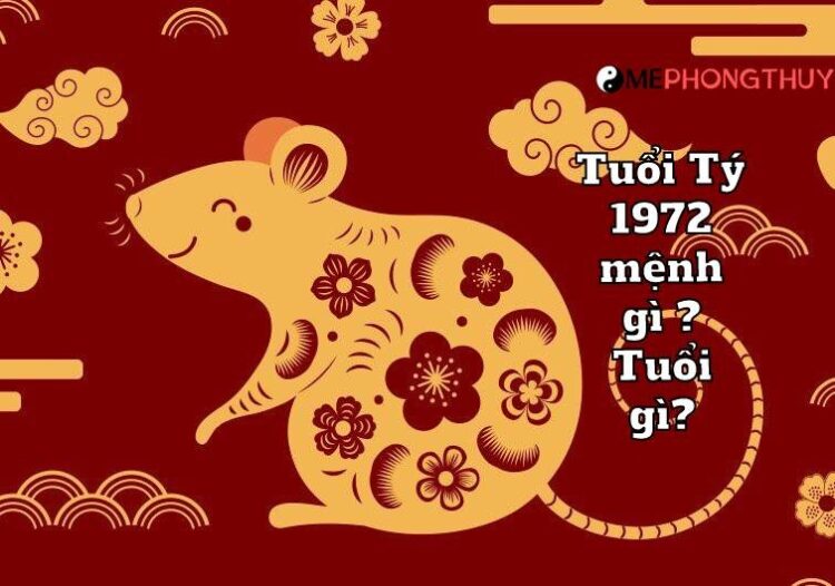 Tuổi Tý năm 1972 mệnh gì? Tuổi gì