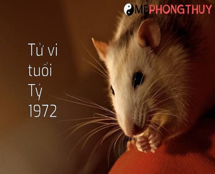 Tử vi tuổi Tý 1972