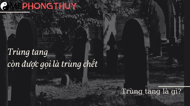 trùng tang là gì