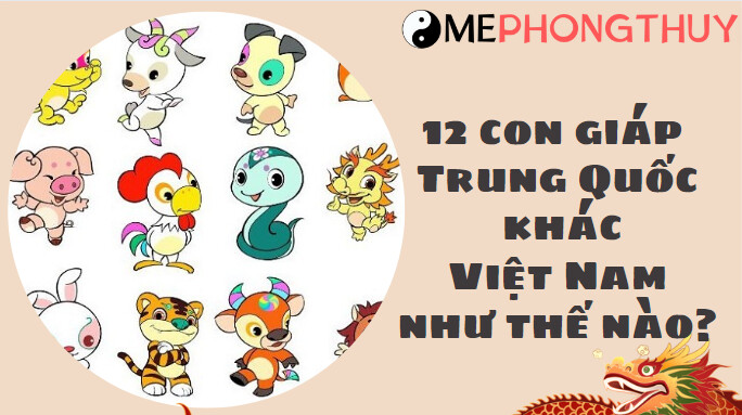 12 con giáp Trung Quốc khác Việt Nam như thế nào