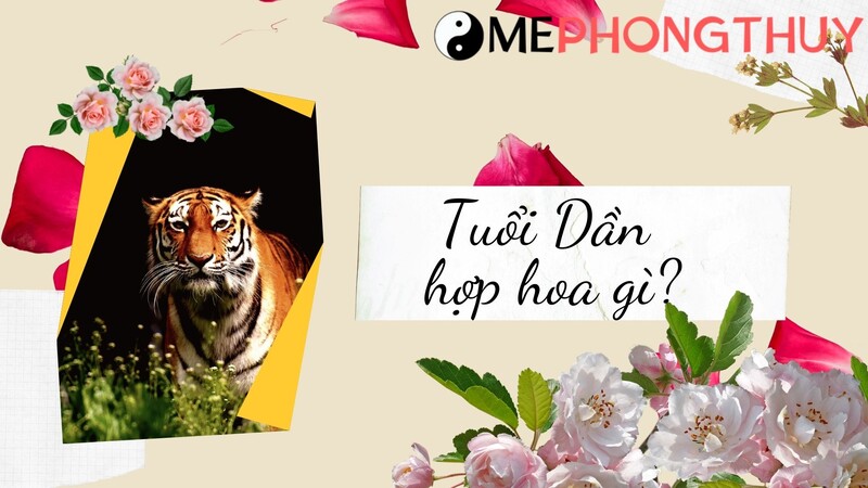 Tuổi Dần hợp hoa gì