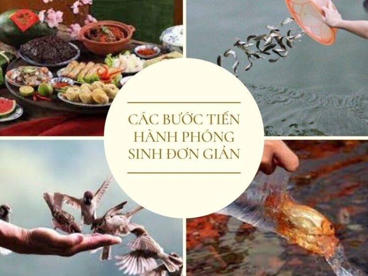 Các bước tiến hành phóng sinh đơn giản nhất