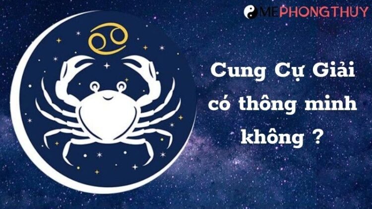 Tổng hợp thông tin về 