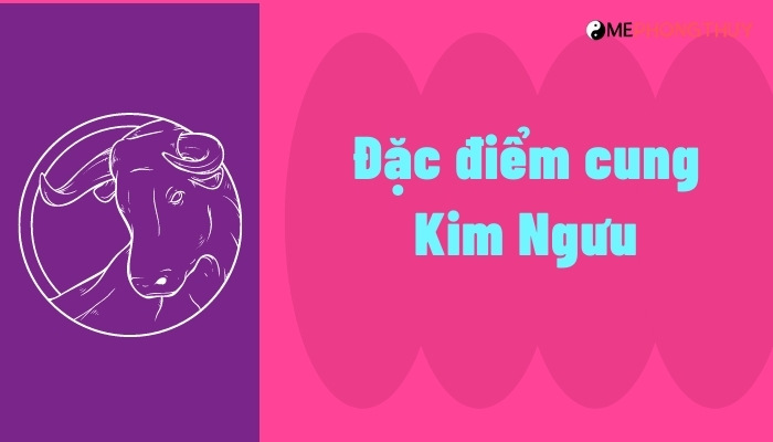 Đặc điểm cung Kim Ngưu