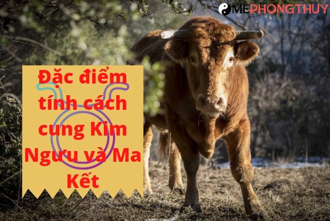 Đặc điểm tính cách cung Kim Ngưu và Ma Kết