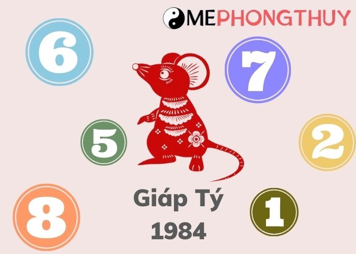 Giáp Tý 1984 hợp số nào