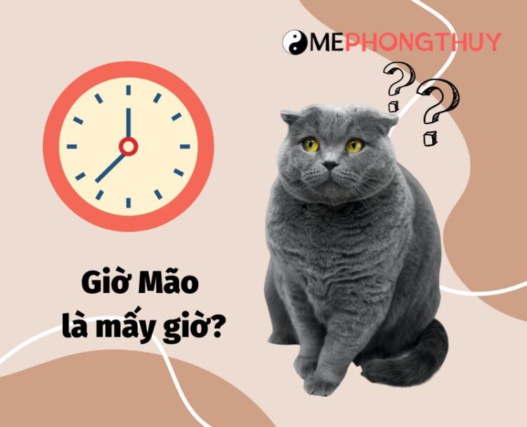 Giờ Mão là mấy giờ? Giờ Mão từ mấy giờ đến mấy giờ?