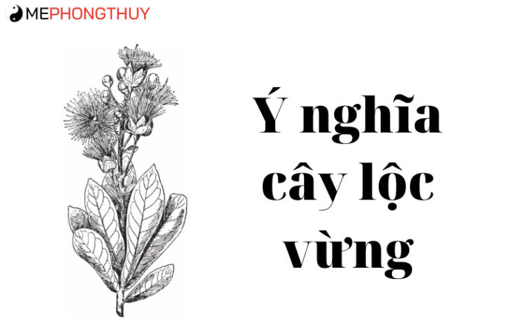 ý nghĩa cây lộc vừng