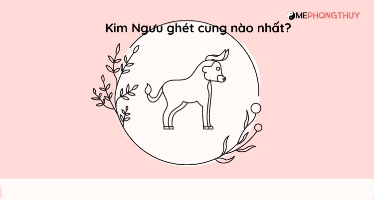 Kim Ngưu ghét cung nào nhất