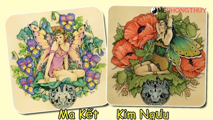 Kim Ngưu và Ma Kết