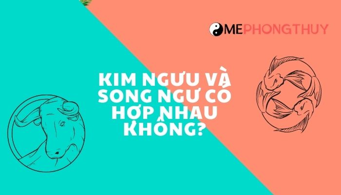 Cung Kim Ngưu và Song Ngư có hợp nhau không