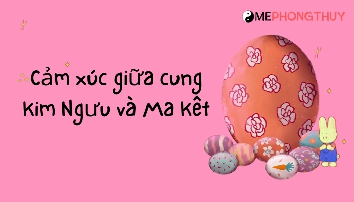 Cảm xúc