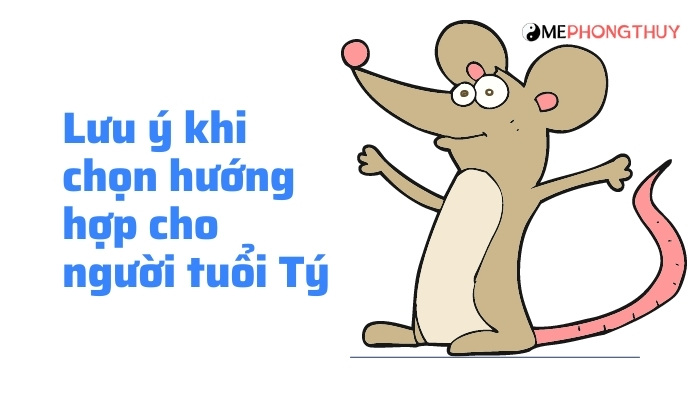 Lưu ý khi chọn hướng hợp cho người tuổi Tý