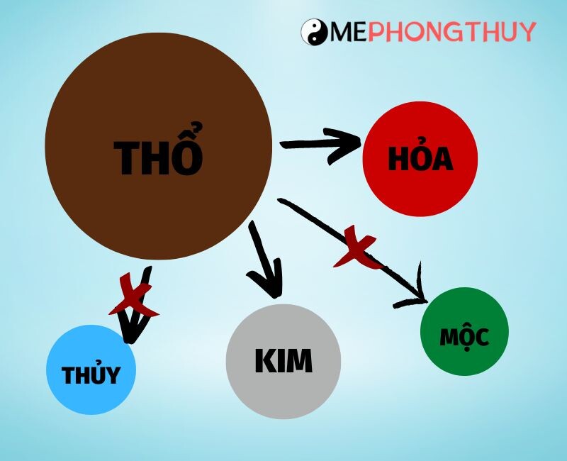 Kỷ Mão mệnh gì? 1999 hợp mệnh gì?