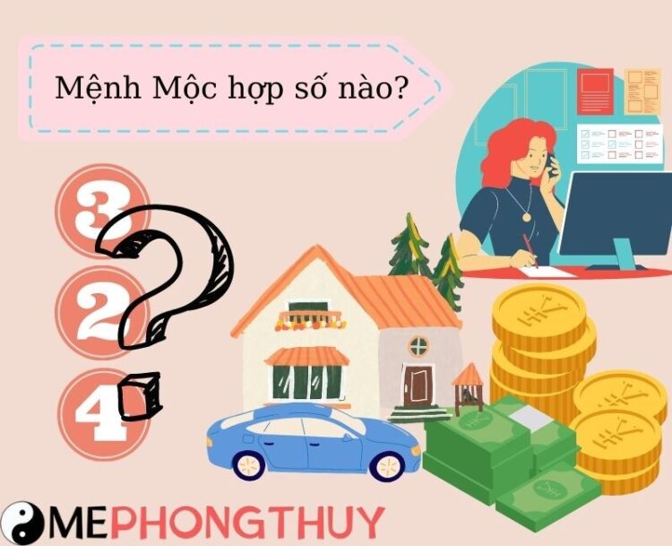 Mệnh Mộc hợp số nào