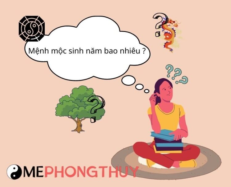 Mệnh Mộc sinh năm nào