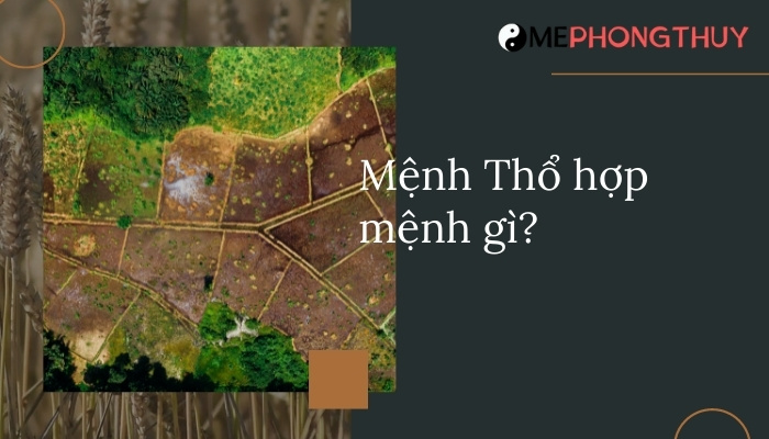 mệnh thổ hợp mệnh gì