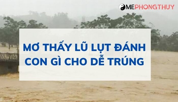 Mơ thấy lũ lụt đánh con gì cho dễ trúng?