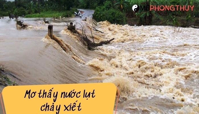 Mơ thấy nước lụt chảy xiết