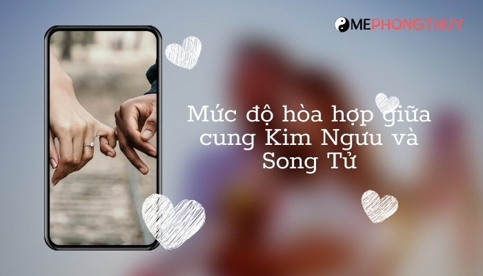 Mức độ hòa hợp giữa cung Kim Ngưu và Song Tử