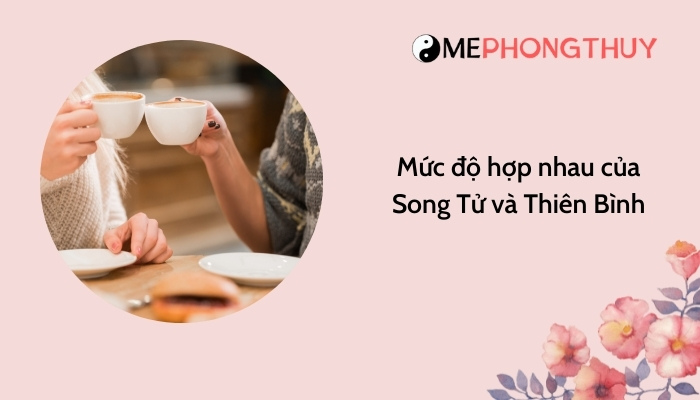 Mức độ hợp nhau của Song Tử và Thiên Bình