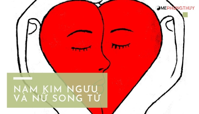 Nam Kim Ngưu và nữ Song Tử