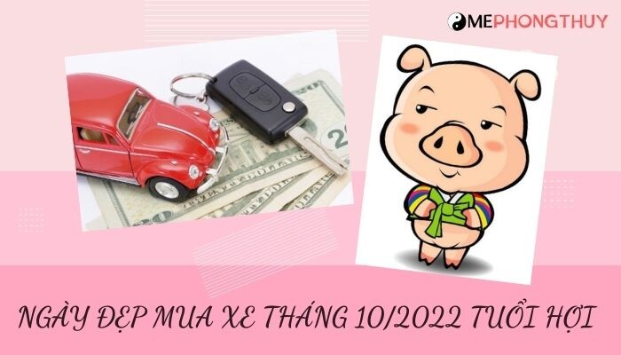 Danh sách ngày đẹp mua xe tháng 10/2022 theo tuổi 12 con giáp