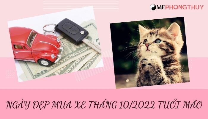 Danh sách ngày đẹp mua xe tháng 10/2022 theo tuổi 12 con giáp