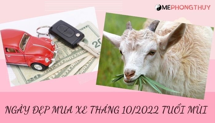 Danh sách ngày đẹp mua xe tháng 10/2022 theo tuổi 12 con giáp