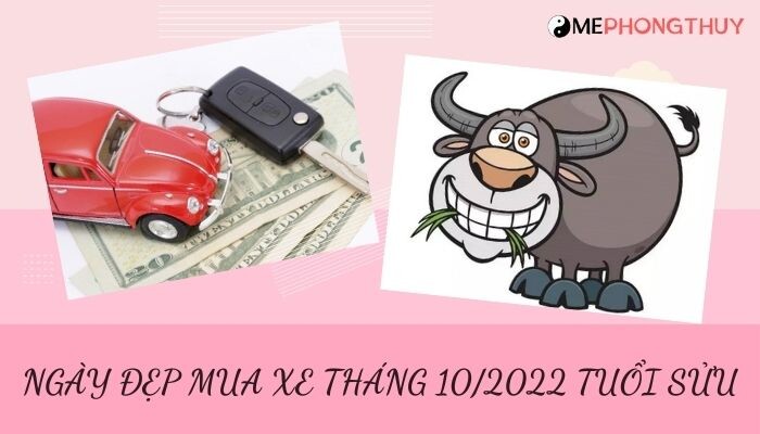 Danh sách ngày đẹp mua xe tháng 10/2022 theo tuổi 12 con giáp