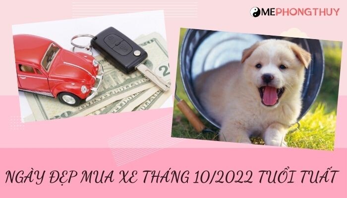 Danh sách ngày đẹp mua xe tháng 10/2022 theo tuổi 12 con giáp