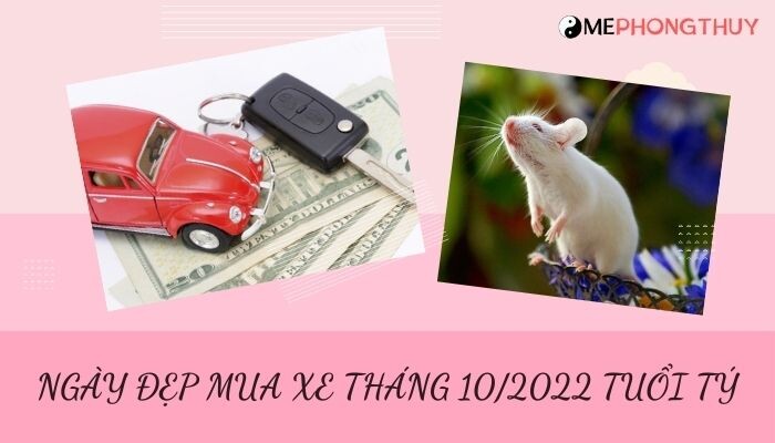 Danh sách ngày đẹp mua xe tháng 10/2022 theo tuổi 12 con giáp