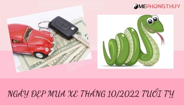 Danh sách ngày đẹp mua xe tháng 10/2022 theo tuổi 12 con giáp