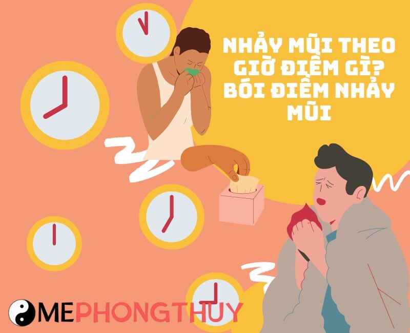 Hắt xì hơi từ 11h đến 12h (Giờ Ngọ)