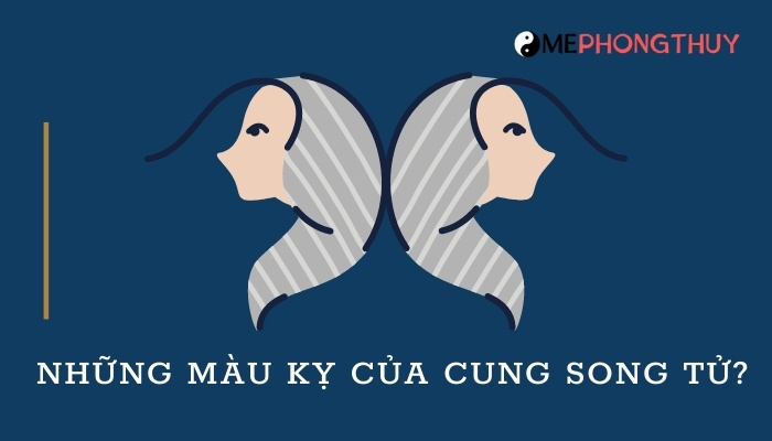 Những màu kỵ của cung Song Tử?