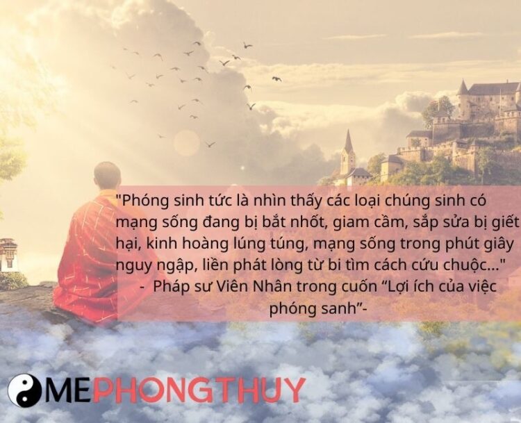 Phóng sinh là gì