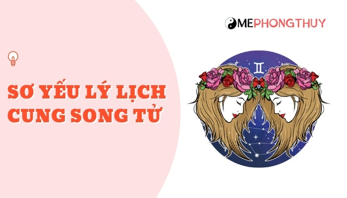 sơ yếu lý lịch cung song tử