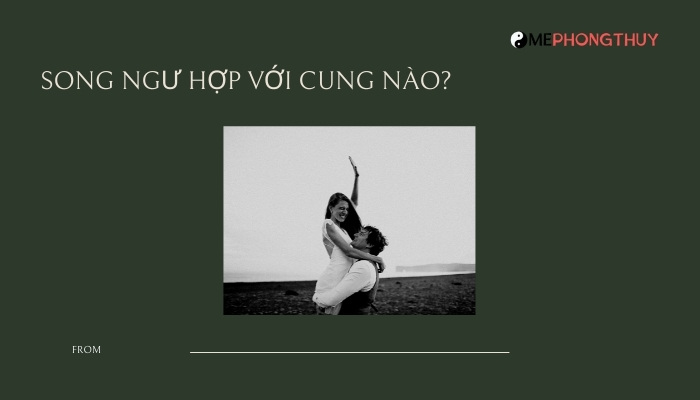 Song Ngư hợp với cung nào