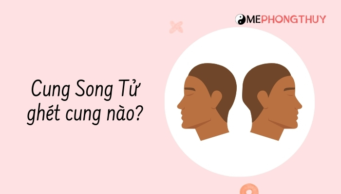 Song Tử ghét cung nào nhất