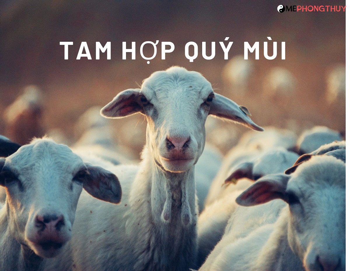 Tam hợp Quý Mùi