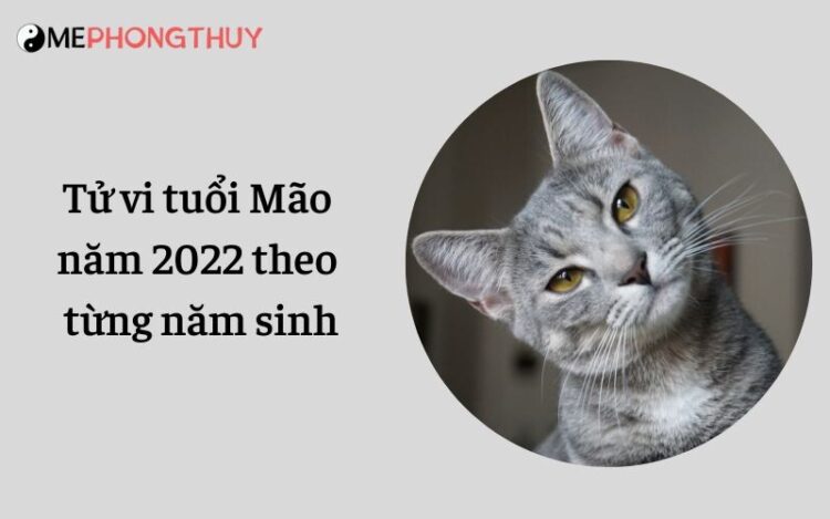 Tử vi tuổi Mão năm 2022 theo từng năm sinh